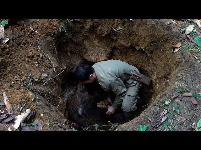 How to lift a giant wild boar out of a deep pit | LIVING OFF THE GRID |  Episode 37