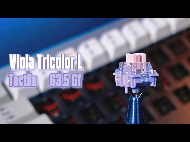 Switch Viola Tricolor L Tactile Sound Test