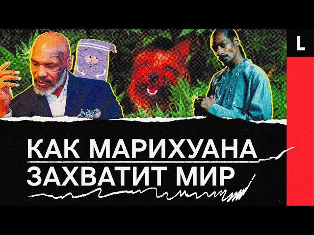 Будущее марихуаны: миллиарды долларов, легализация, бизнес звезд Голливуда