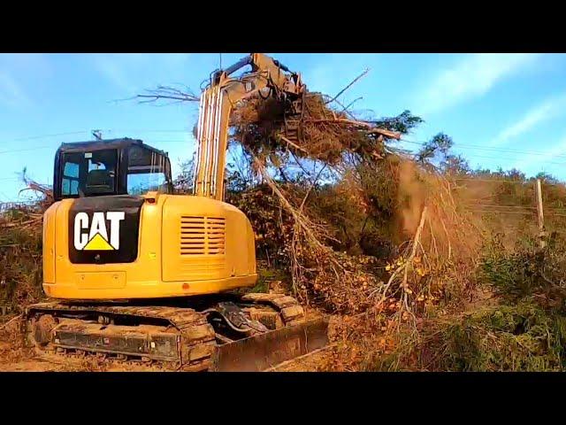 Extremely Overgrown Property!Total Transformation!!!  let's Get it Cleaned Up! CAT 308