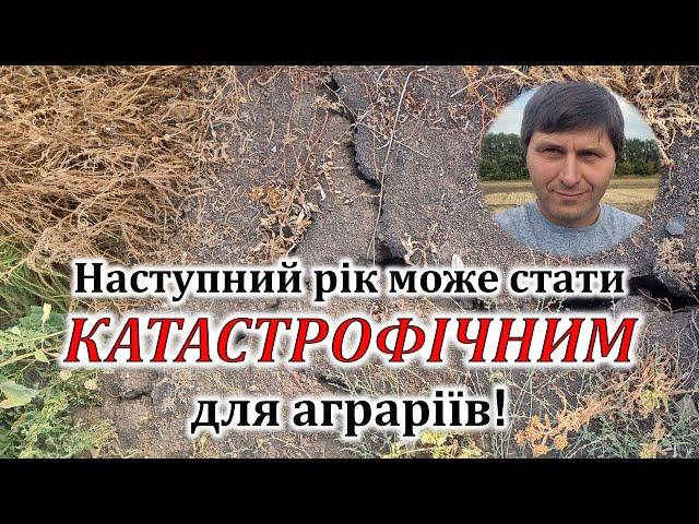 Наступний рік може стати катастрофічним для аграріїв!