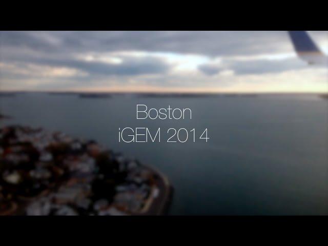 iGEM 2014 | University of Reading | Boston, MA