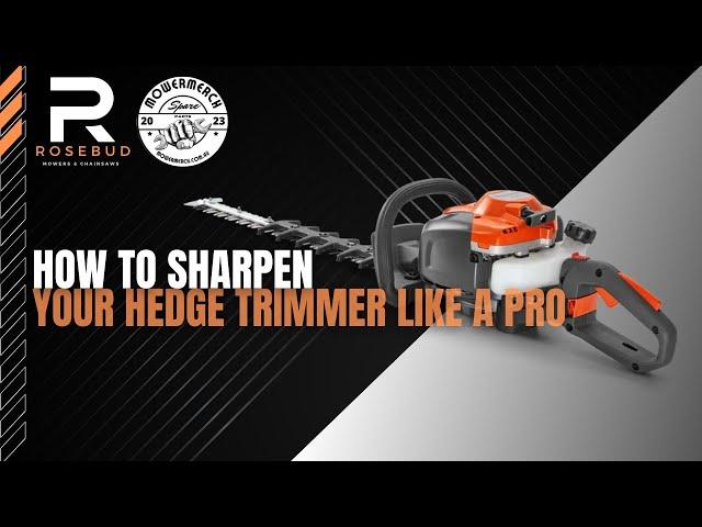 How to sharpen your Hedge Trimmer Blade like a PRO