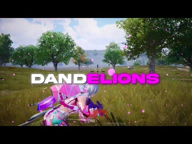 Dandelions  | Best Velocity edit | badboy vfx