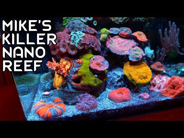 Mike's Killer Nano Reef Tank