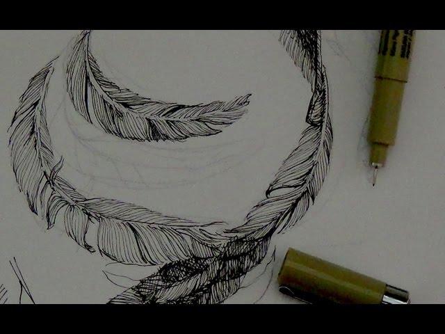 Pen & Ink Drawing Tutorials | How to draw feathers with pen & ink