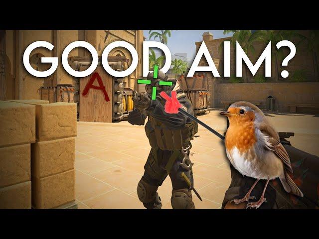 How to ACTUALLY Aim Like a Pro | Counter-Strike out the Wa Tzu