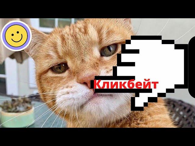 РЫЖИЕ КОТЫ / ПОДБОРКА СМЕШНЫХ ВИДЕО ИЗ ТИКТОК