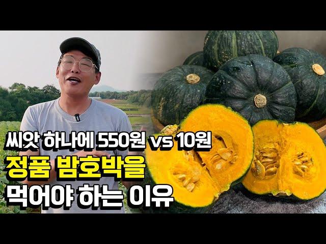 밤호박 씨앗 하나에 550원이라고?! 제발 단호박 아무거나 드시지 마세요