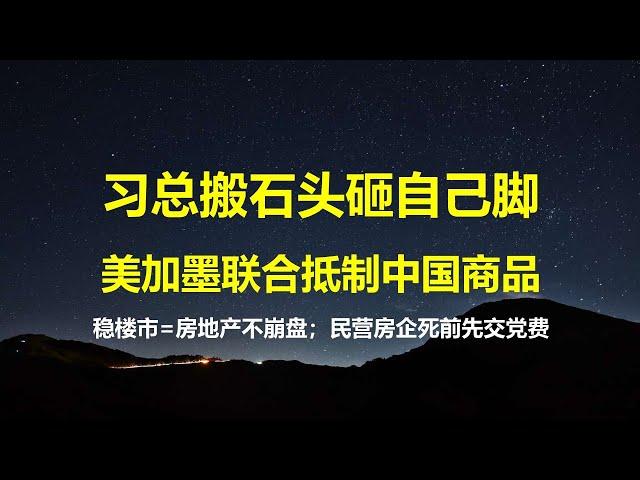 全网独家解读：李强稳楼市底线是什么？习总搬石头砸自己脚，中国商品喜迎北美关税联盟；因疫情索赔240亿美元，密苏里州告赢中国。