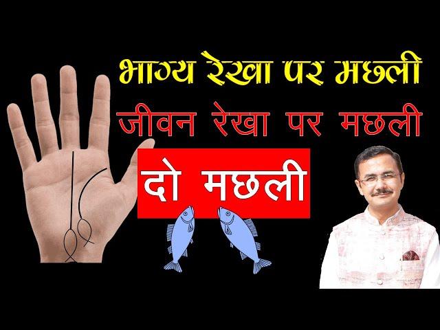 भाग्य और जीवन रेखा पर मछली का निशान || केतु पर दो मछली हस्तरेखा || काग रेखा || मछली का चिन्ह Part-2