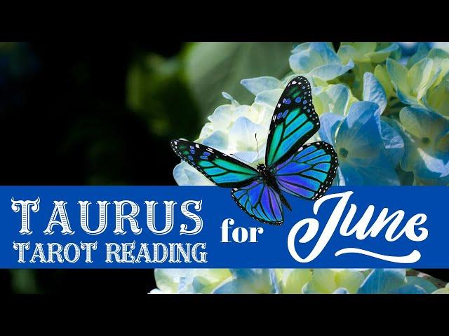 ️Taurus Monthly Tarot Reading for June 2024