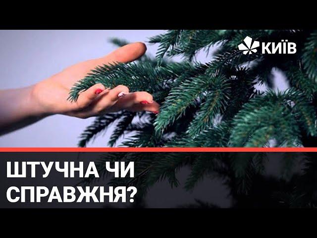 Яким ялинкам надають перевагу колеги із радіо Київ 98 фм і з Телеканалу Київ?