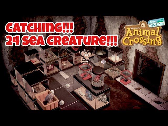 All July Sea Creatures - Animal Crossing: New Horizons (Northern Hemisphere)