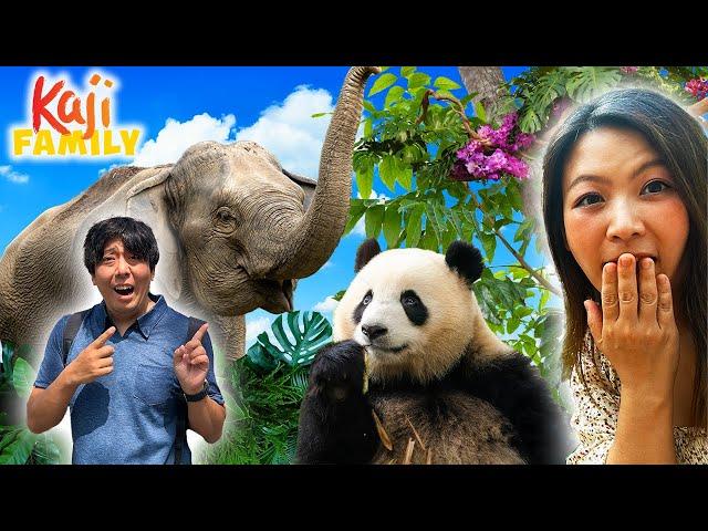 We Visit A JAPANESE Zoo!