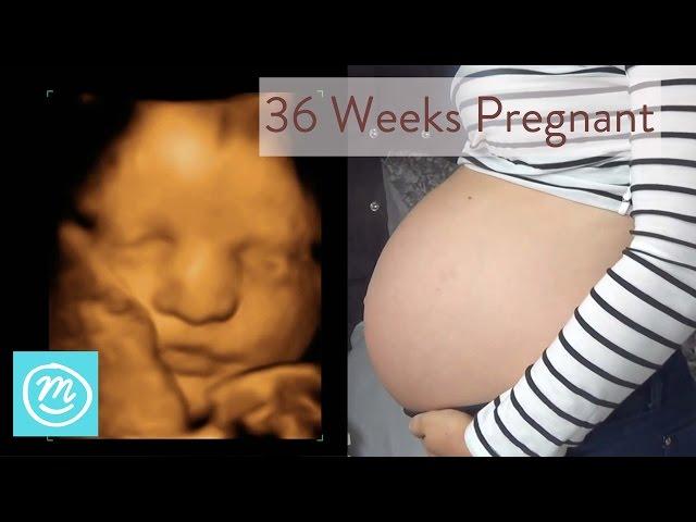 36 Weeks Pregnant: What You Need To Know - Channel Mum