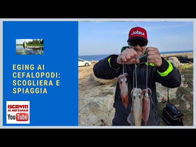 Eging ai cefalopodi - Scogliera e Spiaggia (Eging to cephalopods)