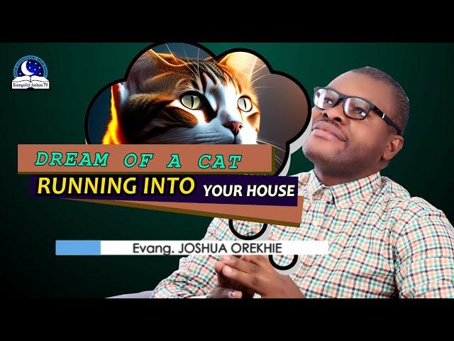Dream of a Cat Running In House - Meaning from Evangelist Joshua