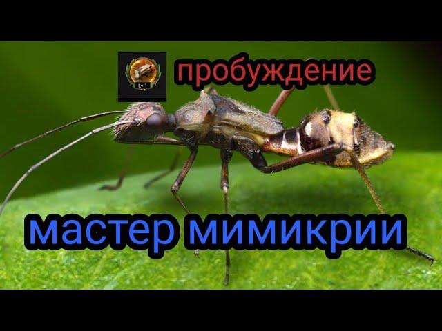 the ants underground kingdom мастер мимикрии , пробуждение мастера мимикрии.