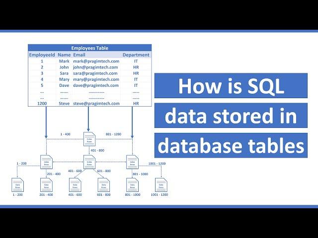 How is data stored in sql database