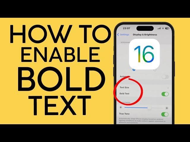 How to Enable Bold Text on iOS 16 iPhone iPad 2022