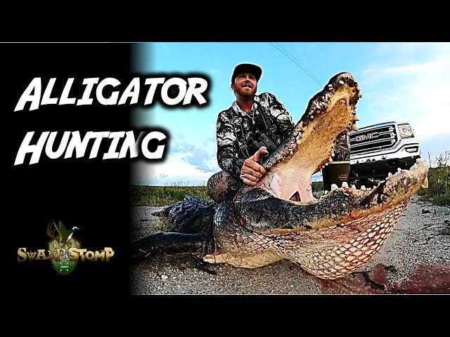 This ALLIGATOR ATTACKED OUR BOAT!