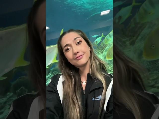 A day in the life of a Professional Mermaid ‍️ #professionalmermaid #mermaid #aquarium