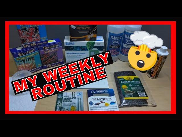 Reef Tank Husbandry - My Weekly Routine - Everything I Add