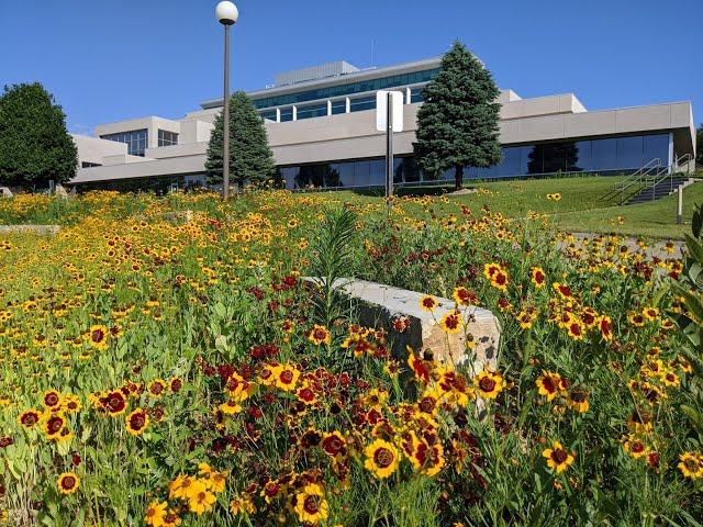 Seeding the Prairie Garden