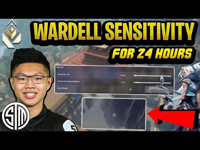 I Used TSM Wardell Sensitivity for 24 Hours and This Happened... | Valorant