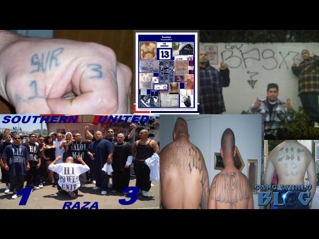 Surenos Southern California Gang Alliance History