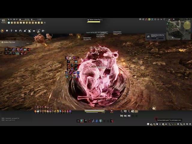 BDO | Succession Ninja | Fortunate Golden Pig Cave | 13:33 + Big Boss | 354 AP