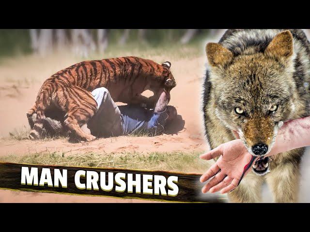 The 10 Fastest "Human Killing" Animals