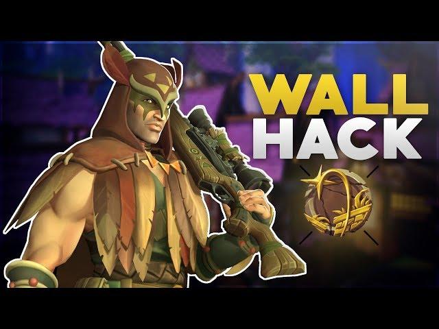 Strix Unauthorised Use | Wallhacks | Paladins