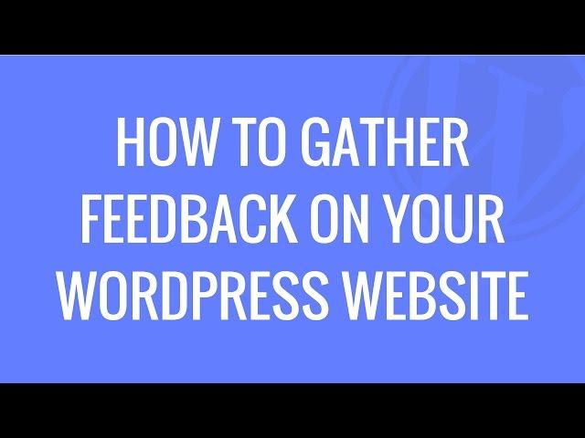 How to setup a feedback pop-up on your WordPress website