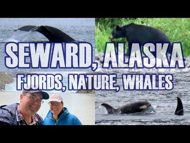 Seward, Alaska - Major Marine Kenai Fjords Tour, Harbor 360 Hotel Room Tour, Chinooks Restaurant