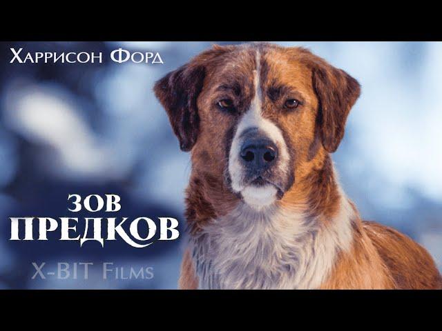 Фильм про собаку Зов предков (2020)