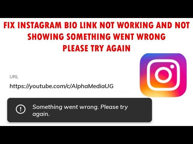 Fix Instagram Bio Link Not Showing Something Went Wrong Please Try Again