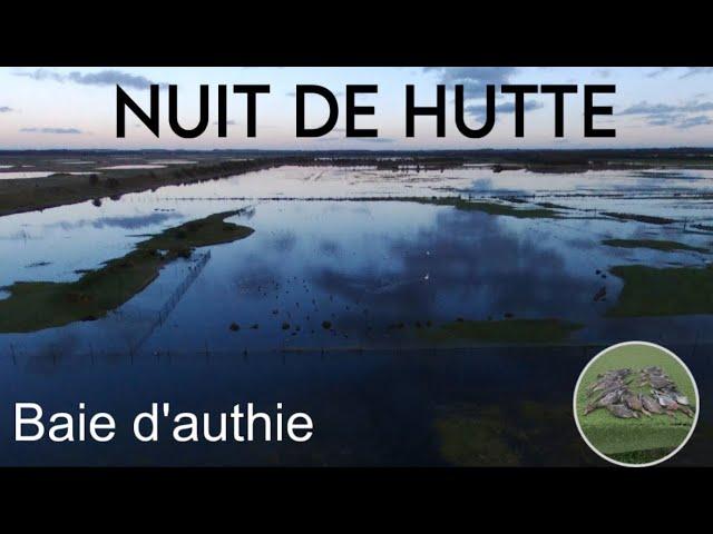 Nuit de migration en pâture - baie d’authie