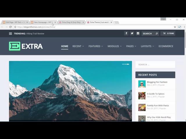 Extra WordPress Theme - Install and Import Demo Data