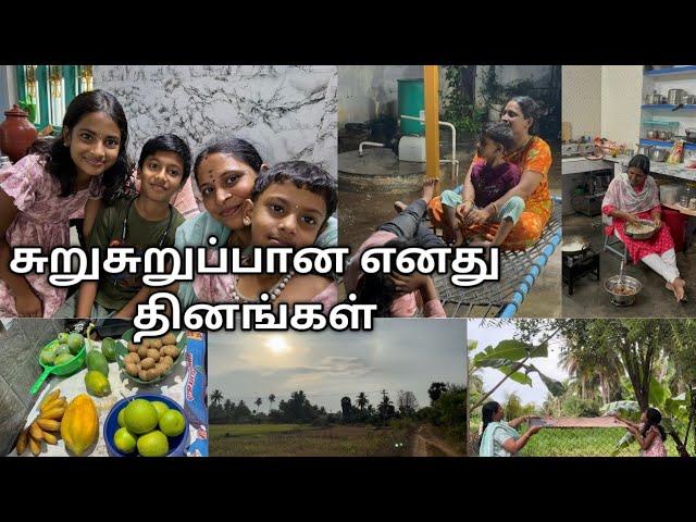 மாசமா இருக்கும்போது சாப்பிட்டது OK இப்ப எதுக்கு சாப்பிடணும்னு தோணுது / வீட்டை சுத்தி ஒரே பழ மரங்கள்