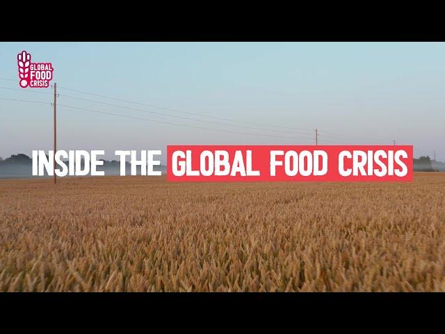 Will there be a global food shortage?