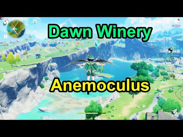 Dawn Winery - Anemoculus