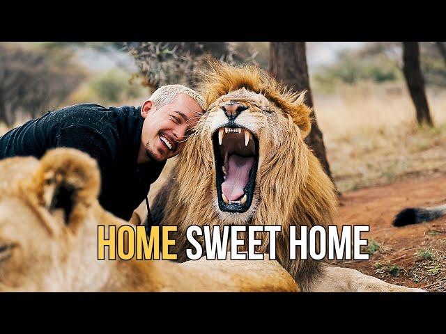 Welcome Home-Dean Schneider