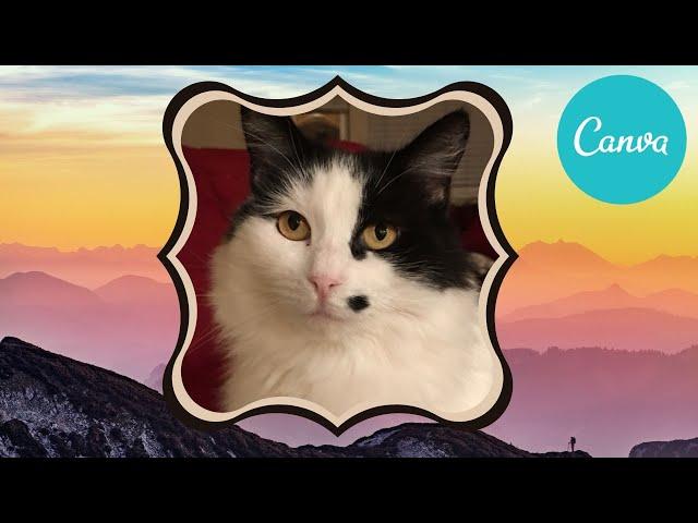 Canva Free! - Crop Video to Shape - Shape Photos & Videos