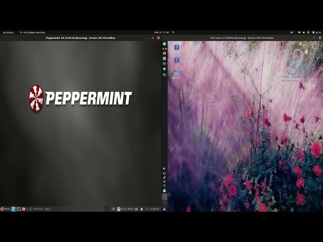 Peppermint OS 22 (xfce) vs Mx Linux 21 (xfce)