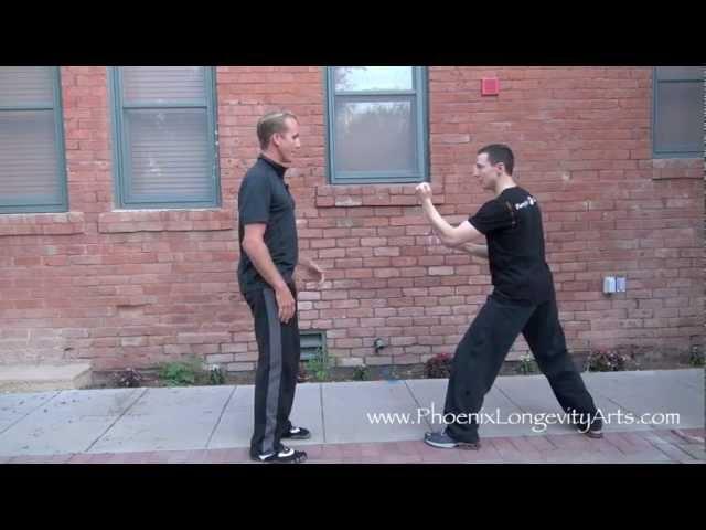 Kung Fu:  Real Techniques - Lesson 1