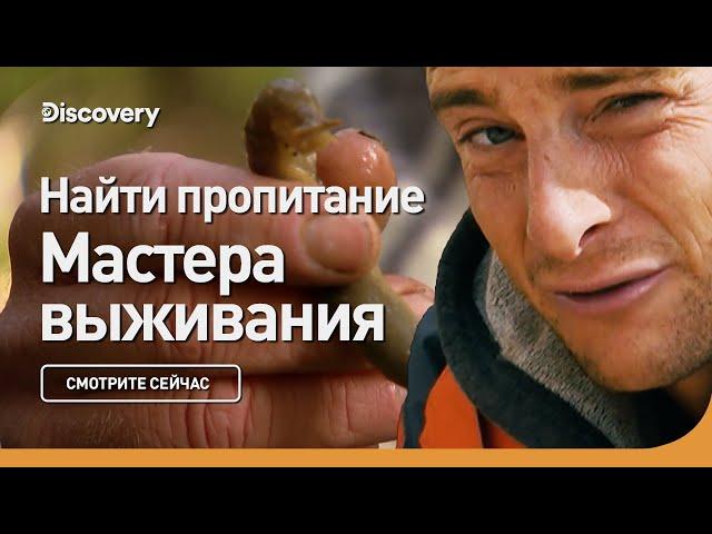 Найти пропитание | Мастера выживания | Discovery