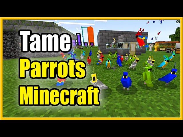 How to Tame a Parrot in Minecraft (Best Tutorial)