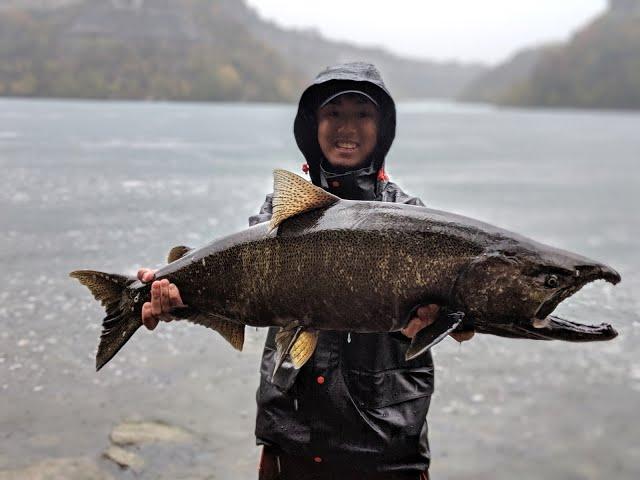 Salmon caught at Niagara Whirlpool!